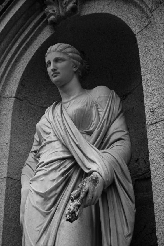 Pickture Landing Logo